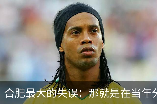 合肥最大的失误：那就是在当年分巢湖的时候，竟然没有拿下无为县