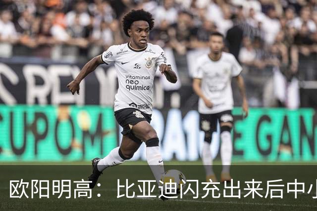 欧阳明高：比亚迪闪充出来后中小厂家、电池厂很焦虑 因为闪充投资太大