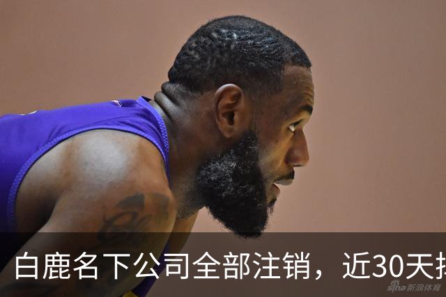白鹿名下公司全部注销，近30天掉粉超144万，独立运营过渡期引关注