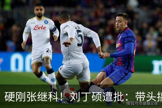 硬刚张继科！刘丁硕遭批：带头搞饭圈拉踩站队 公然与体育总局作对