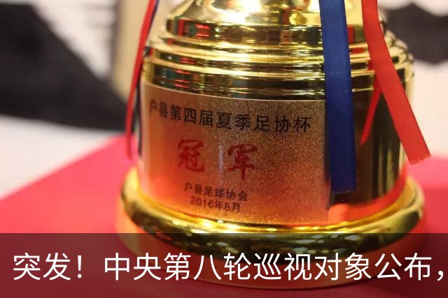 突发！中央第八轮巡视对象公布，32所高校将开始反腐风暴