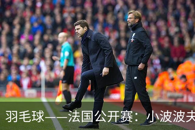 羽毛球——法国公开赛：小波波夫男单夺冠
